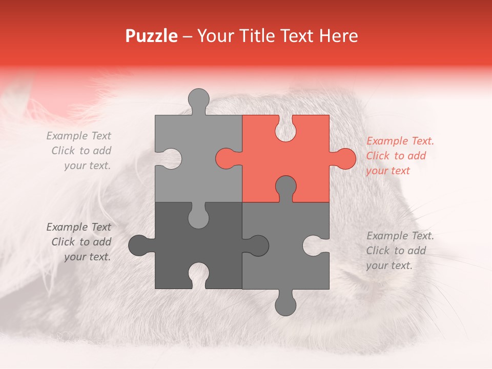 Christmas Bunny PowerPoint Template