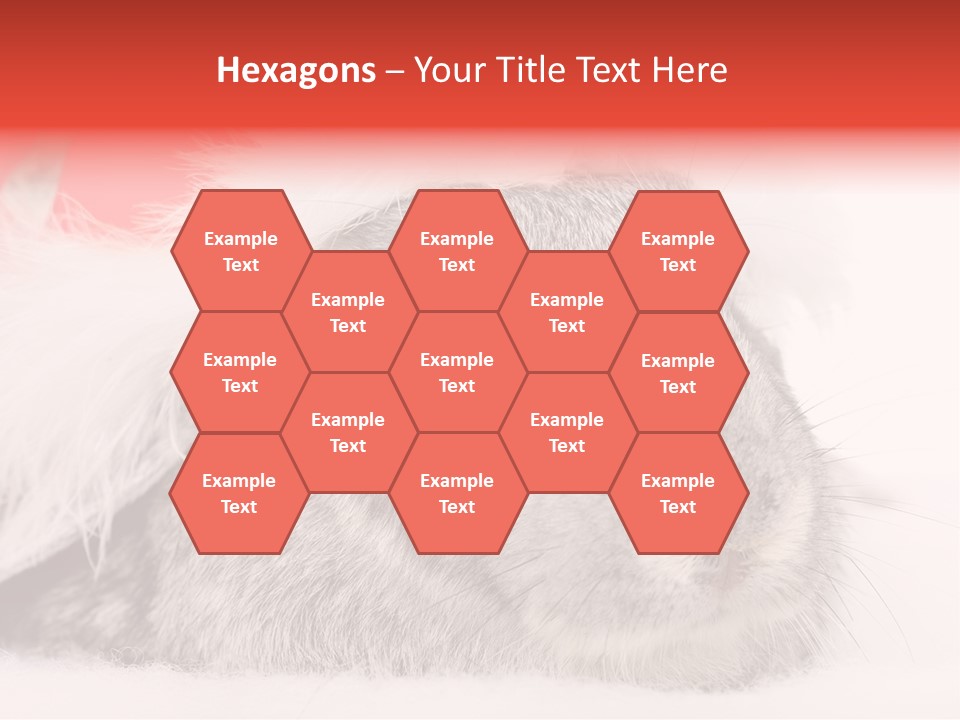 Christmas Bunny PowerPoint Template