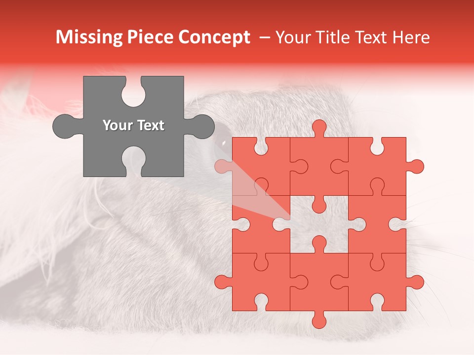 Christmas Bunny PowerPoint Template