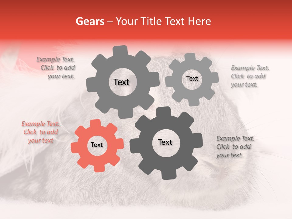 Christmas Bunny PowerPoint Template