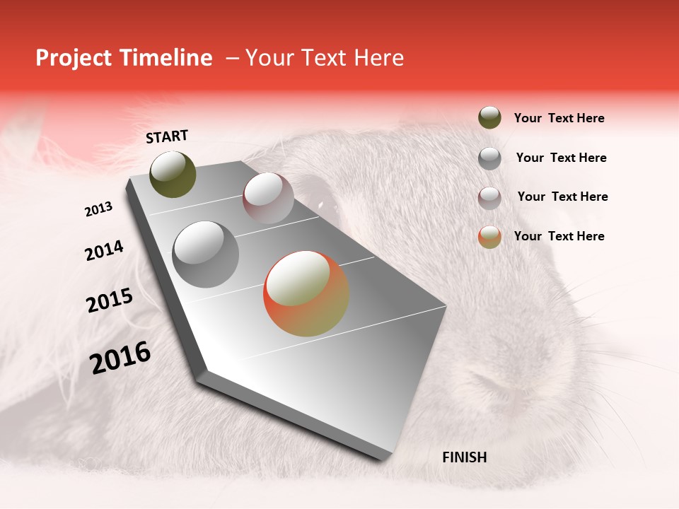 Christmas Bunny PowerPoint Template
