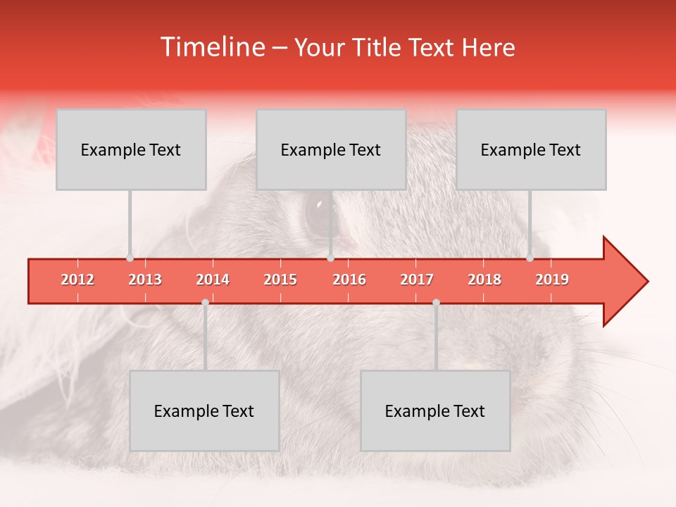 Christmas Bunny PowerPoint Template