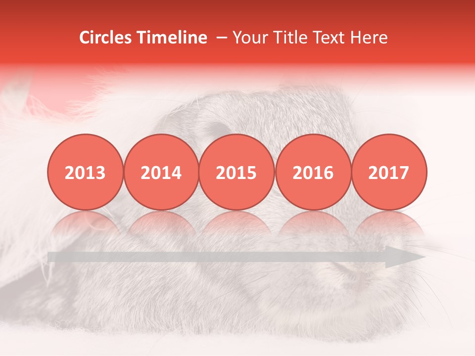 Christmas Bunny PowerPoint Template