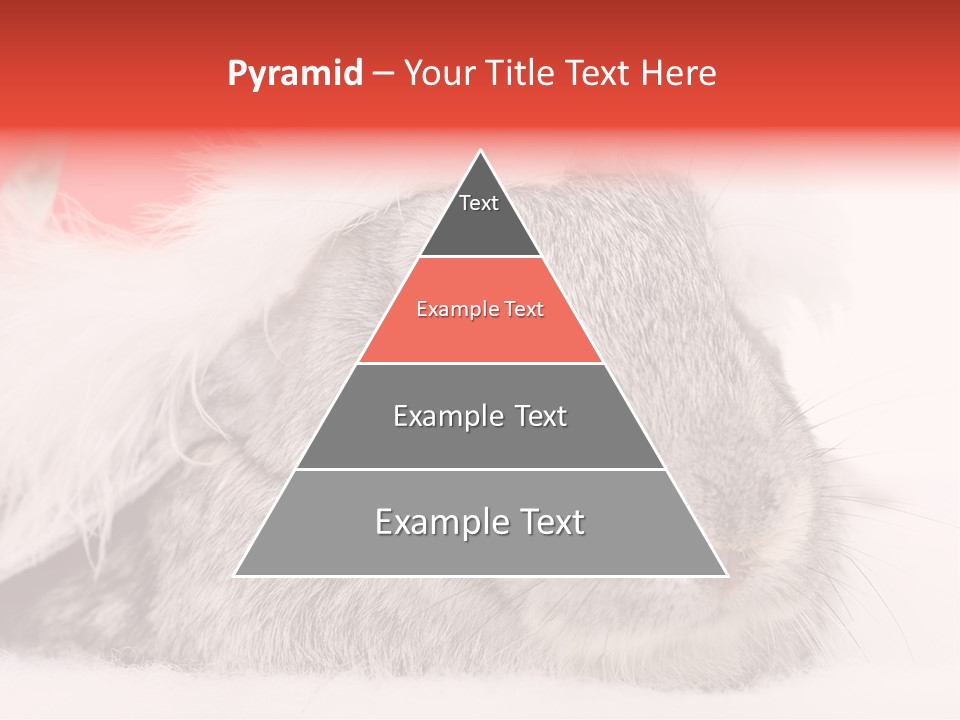 Christmas Bunny PowerPoint Template