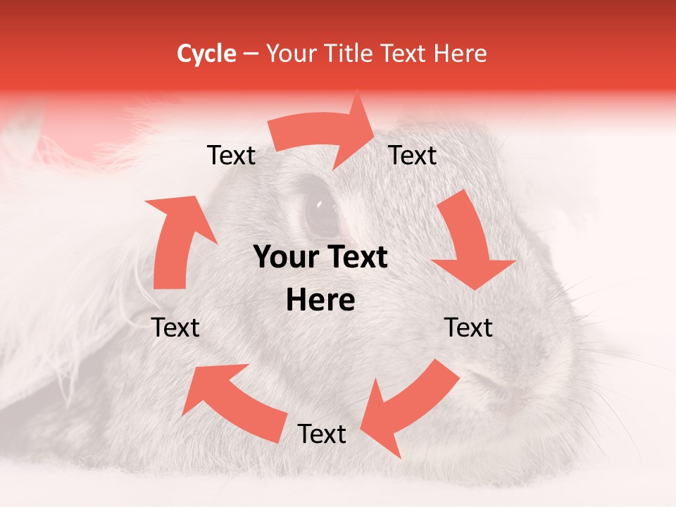 Christmas Bunny PowerPoint Template