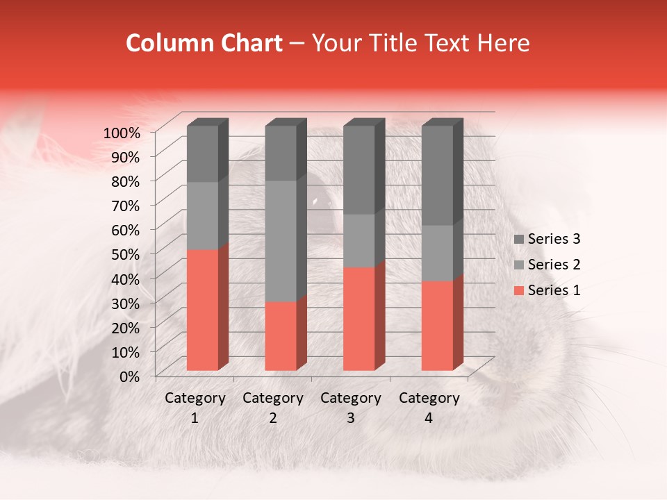 Christmas Bunny PowerPoint Template