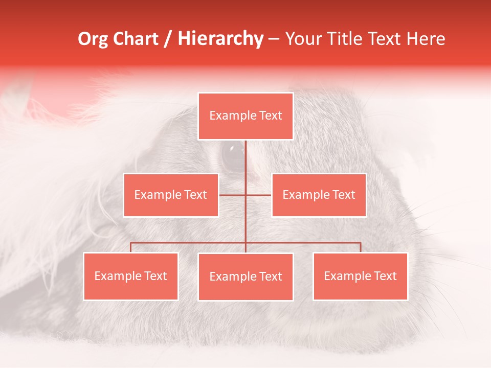 Christmas Bunny PowerPoint Template
