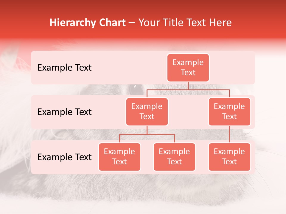Christmas Bunny PowerPoint Template