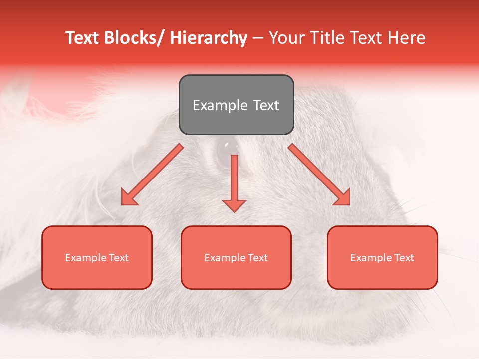 Christmas Bunny PowerPoint Template