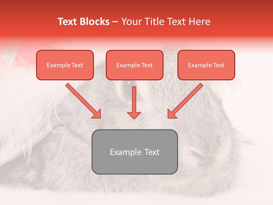 Christmas Bunny PowerPoint Template