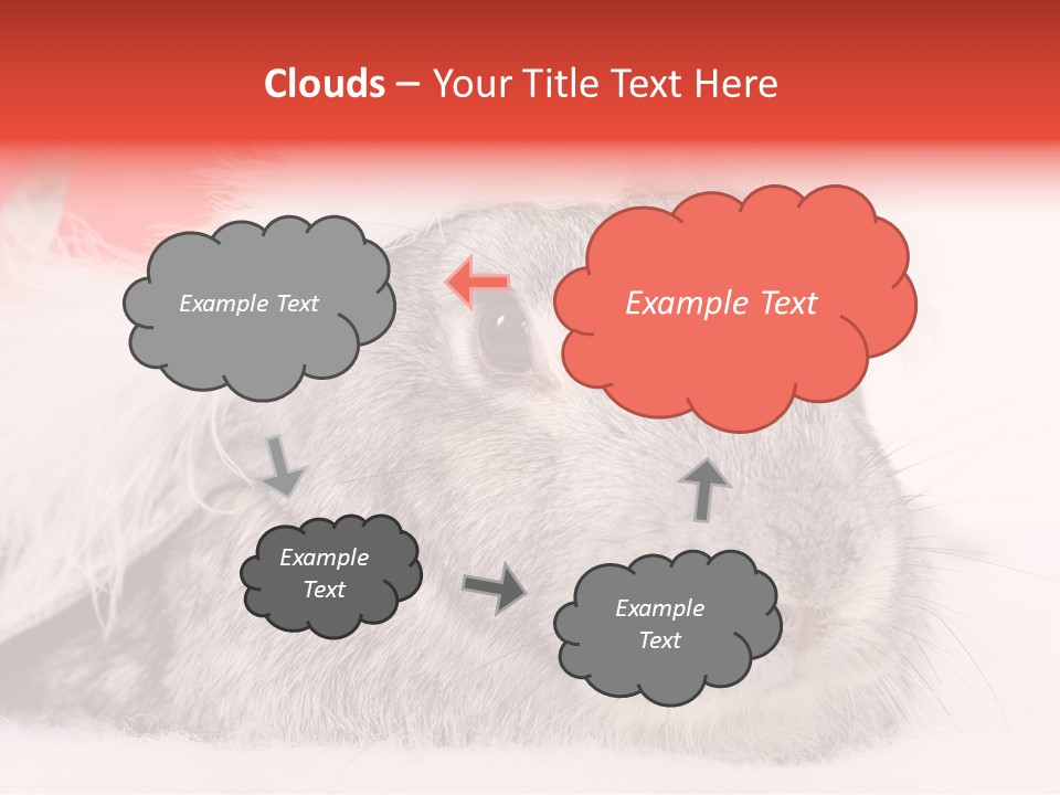 Christmas Bunny PowerPoint Template