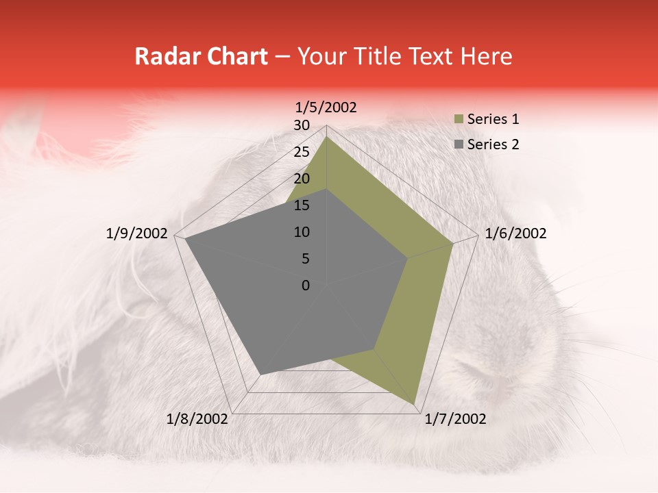Christmas Bunny PowerPoint Template