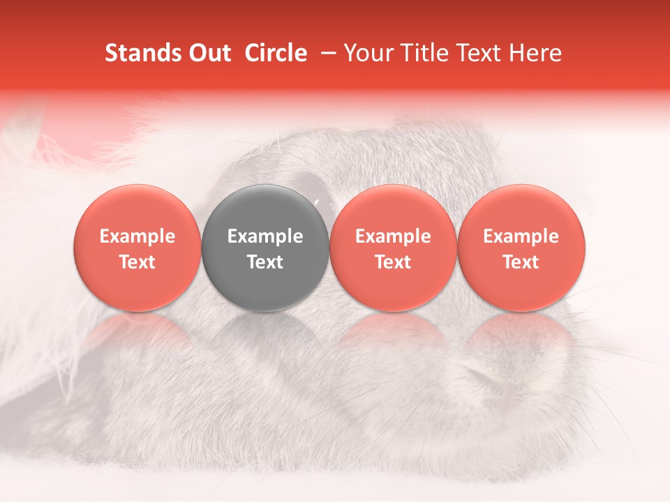 Christmas Bunny PowerPoint Template