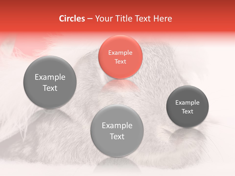 Christmas Bunny PowerPoint Template
