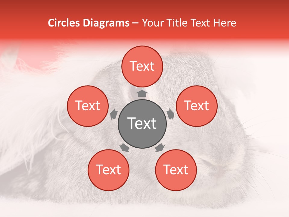 Christmas Bunny PowerPoint Template