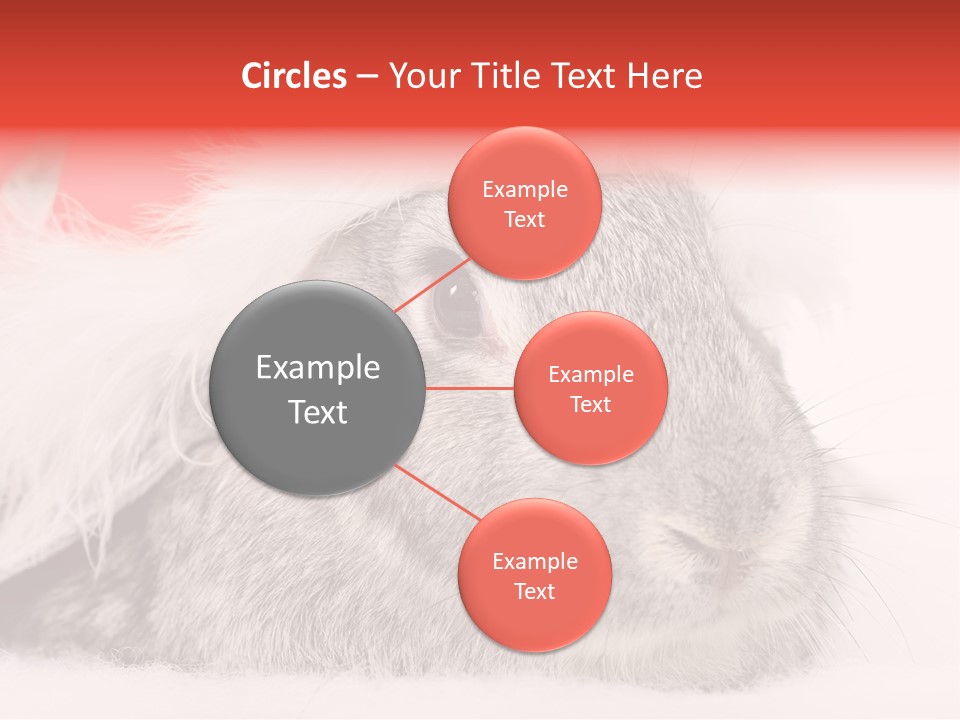 Christmas Bunny PowerPoint Template