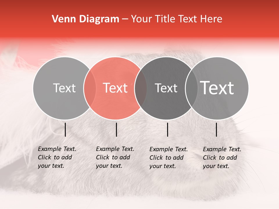 Christmas Bunny PowerPoint Template