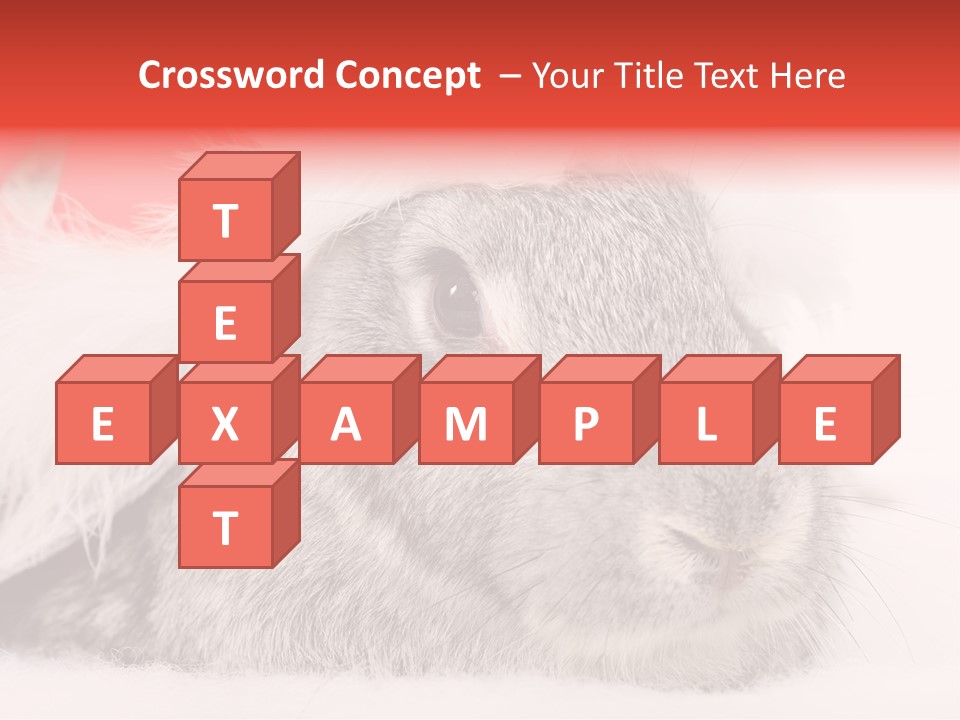 Christmas Bunny PowerPoint Template