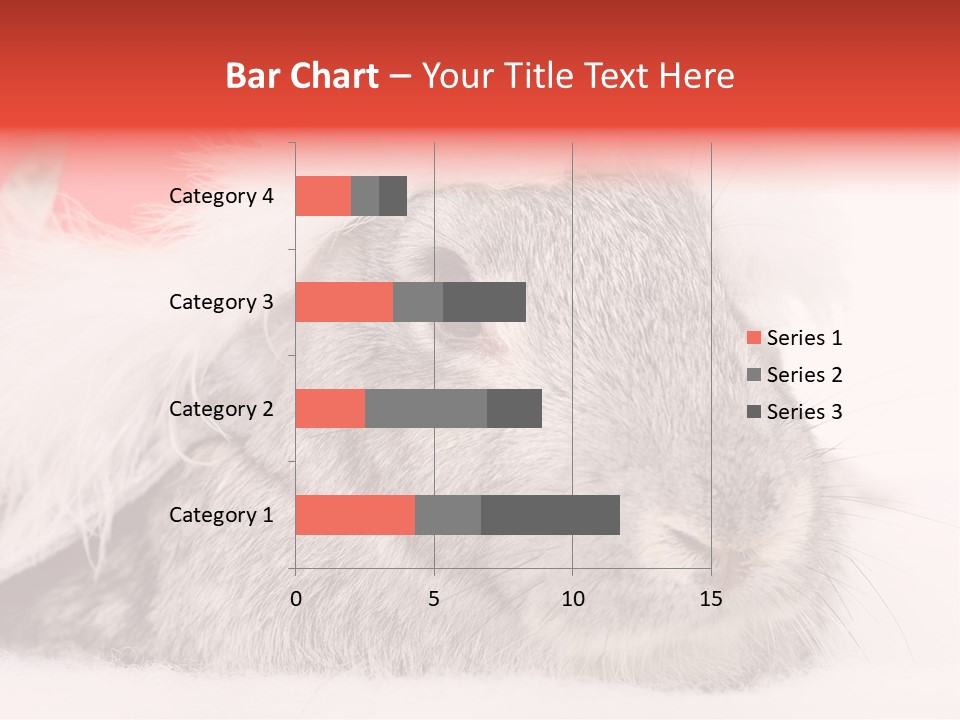 Christmas Bunny PowerPoint Template