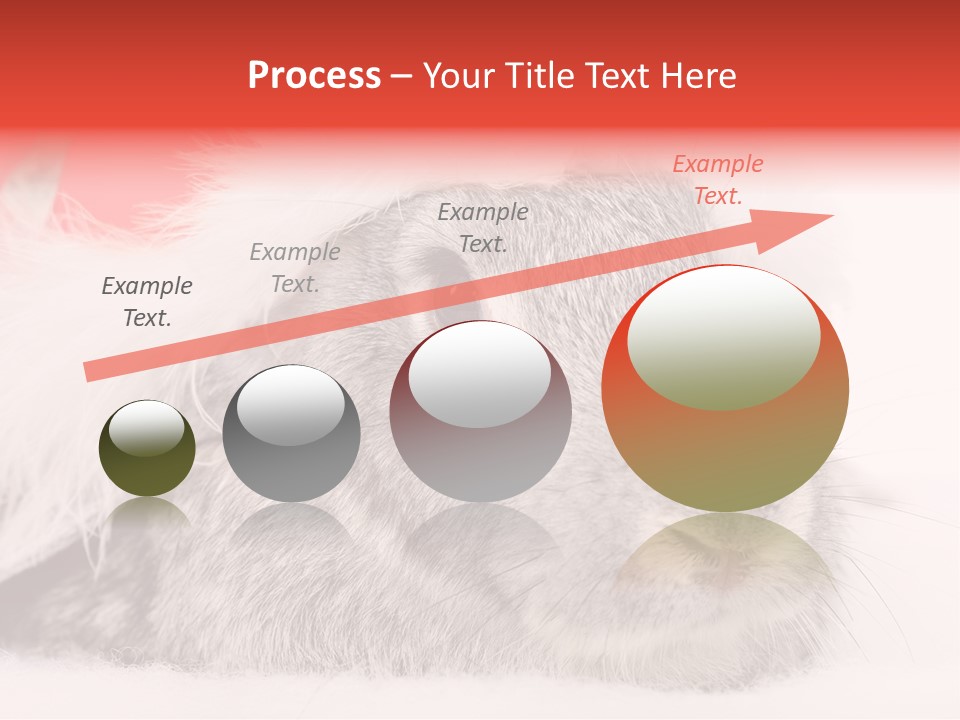 Christmas Bunny PowerPoint Template