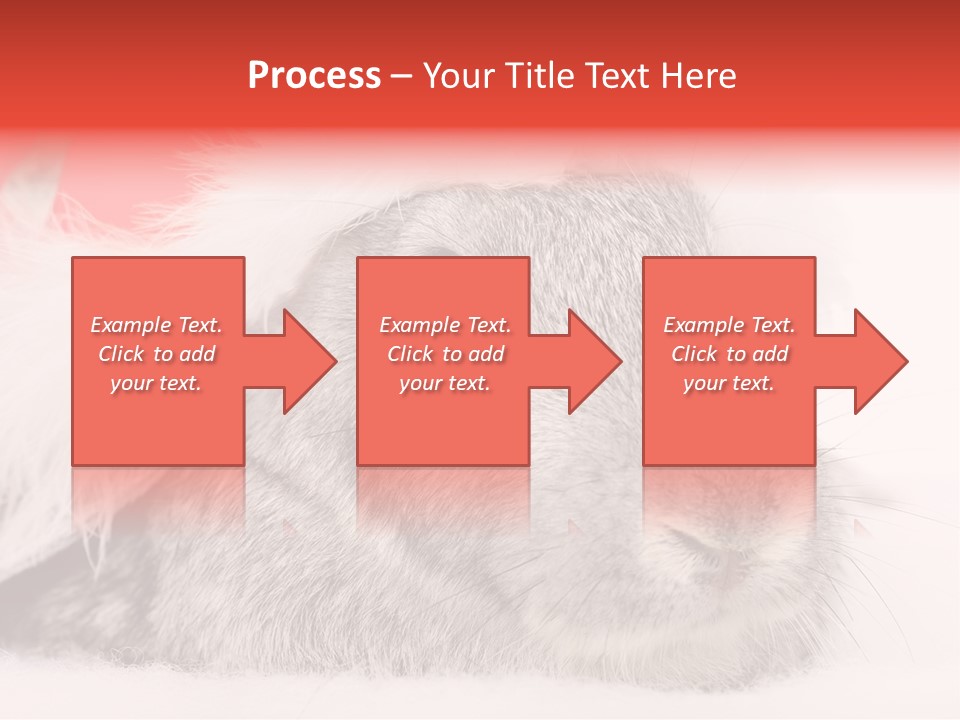 Christmas Bunny PowerPoint Template