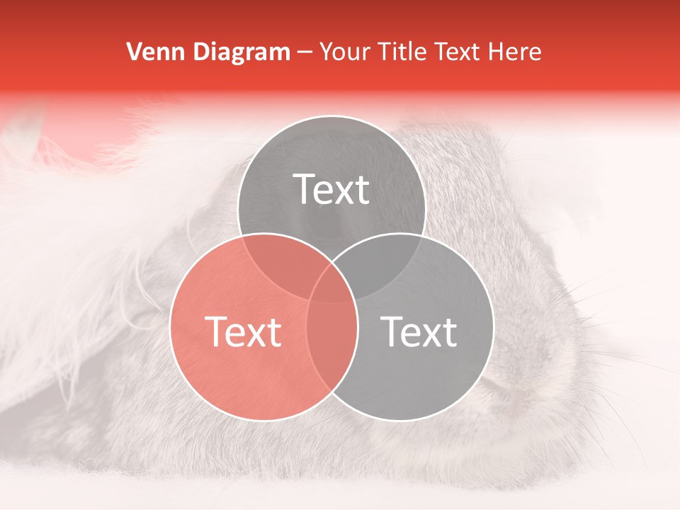Christmas Bunny PowerPoint Template