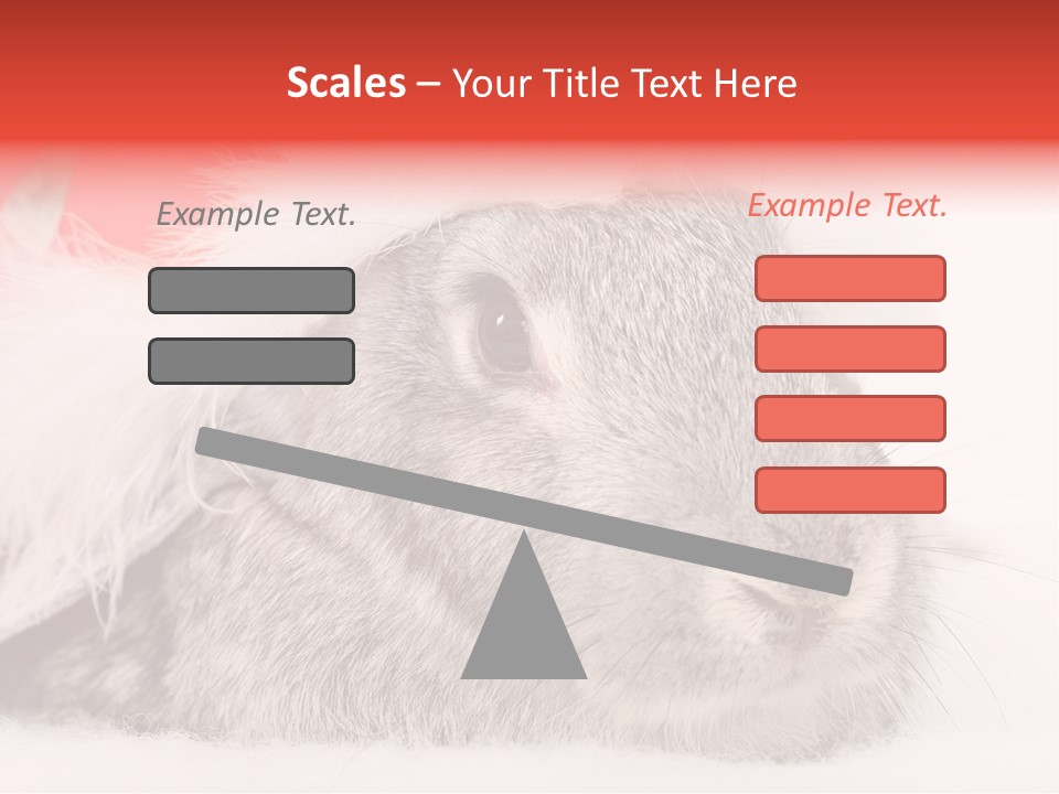 Christmas Bunny PowerPoint Template