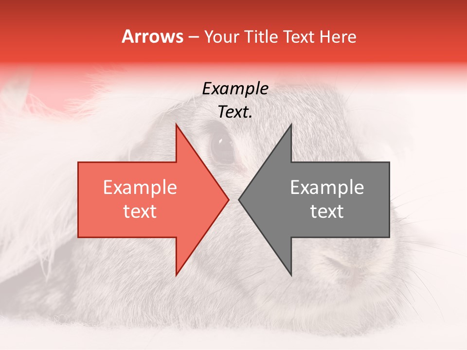 Christmas Bunny PowerPoint Template