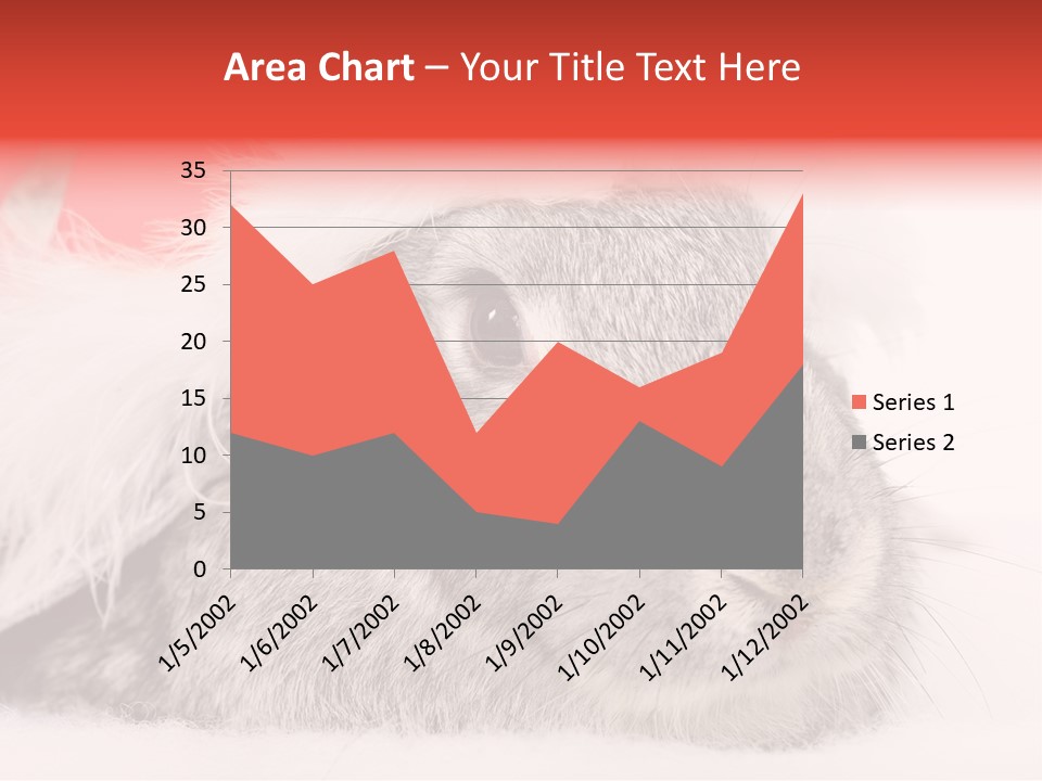 Christmas Bunny PowerPoint Template