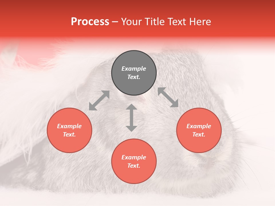 Christmas Bunny PowerPoint Template