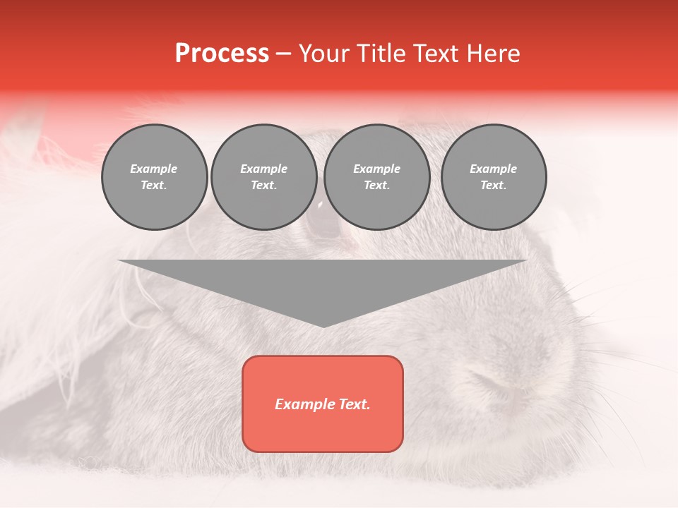 Christmas Bunny PowerPoint Template