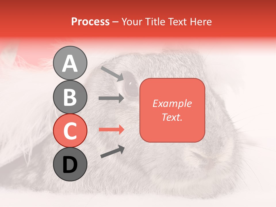 Christmas Bunny PowerPoint Template
