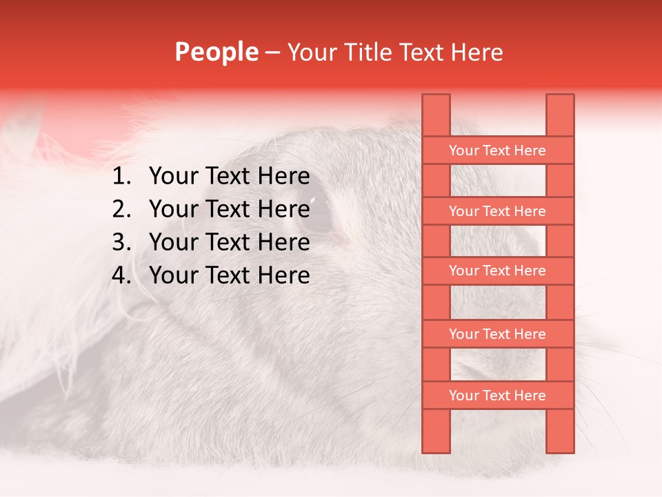 Christmas Bunny PowerPoint Template