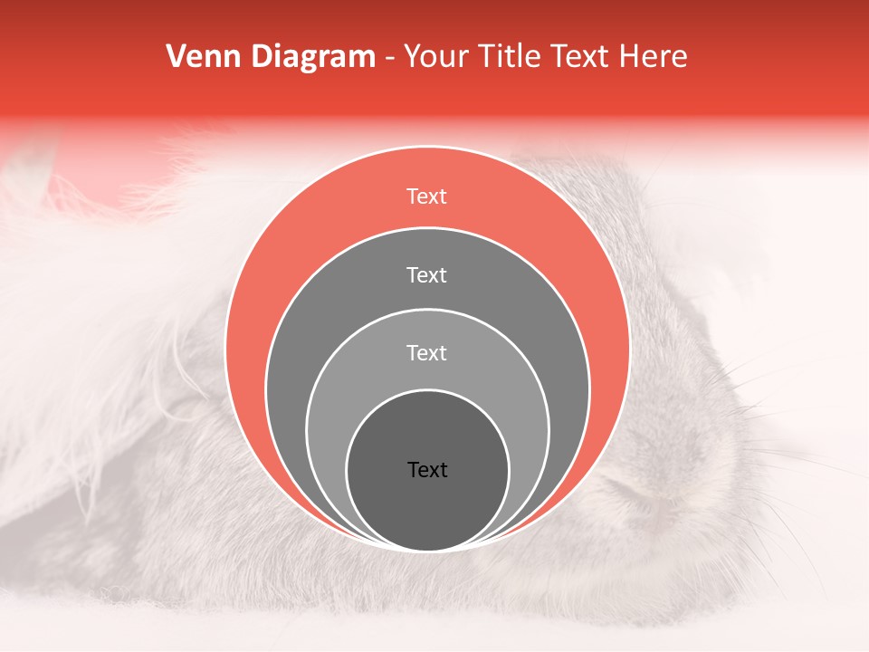 Christmas Bunny PowerPoint Template