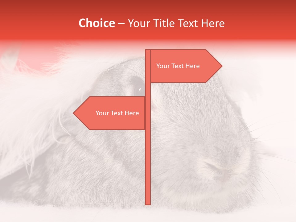 Christmas Bunny PowerPoint Template
