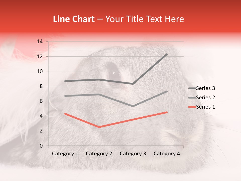 Christmas Bunny PowerPoint Template