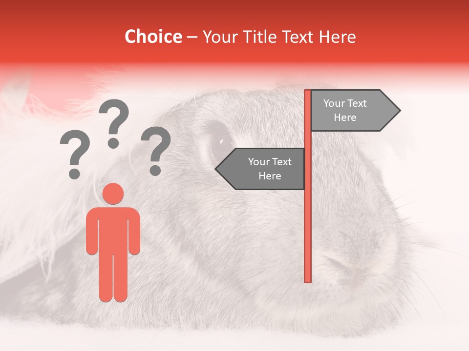 Christmas Bunny PowerPoint Template