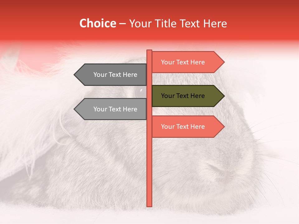 Christmas Bunny PowerPoint Template