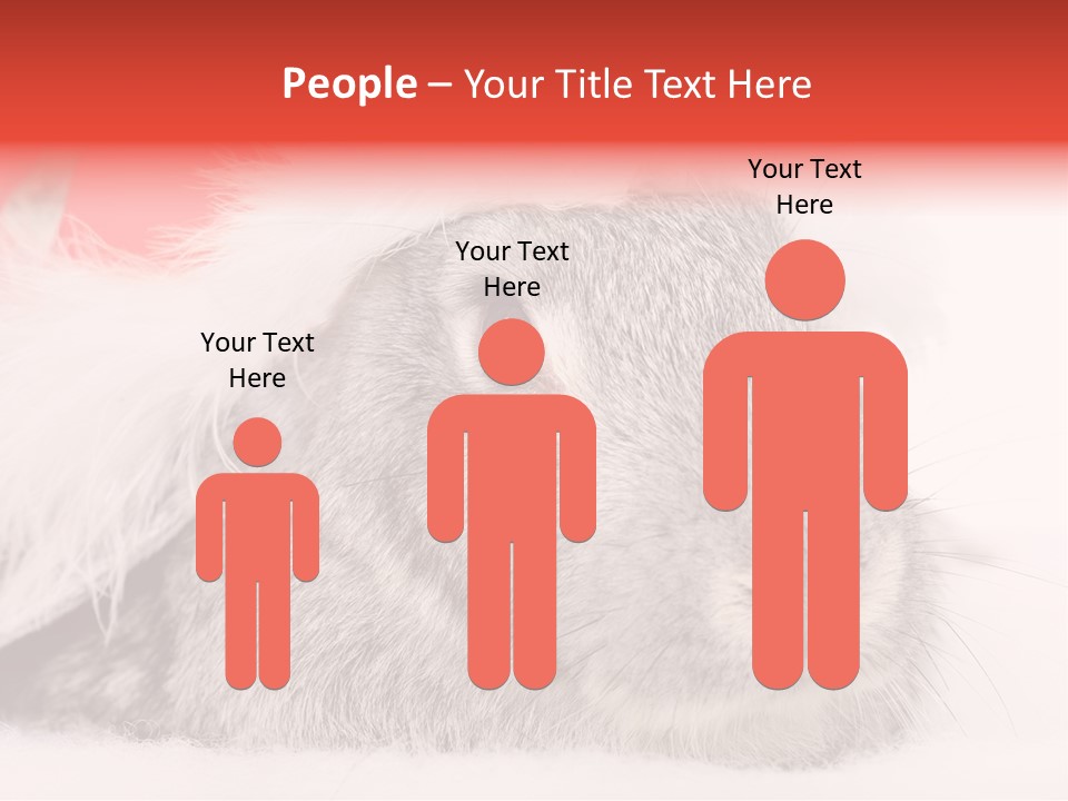 Christmas Bunny PowerPoint Template