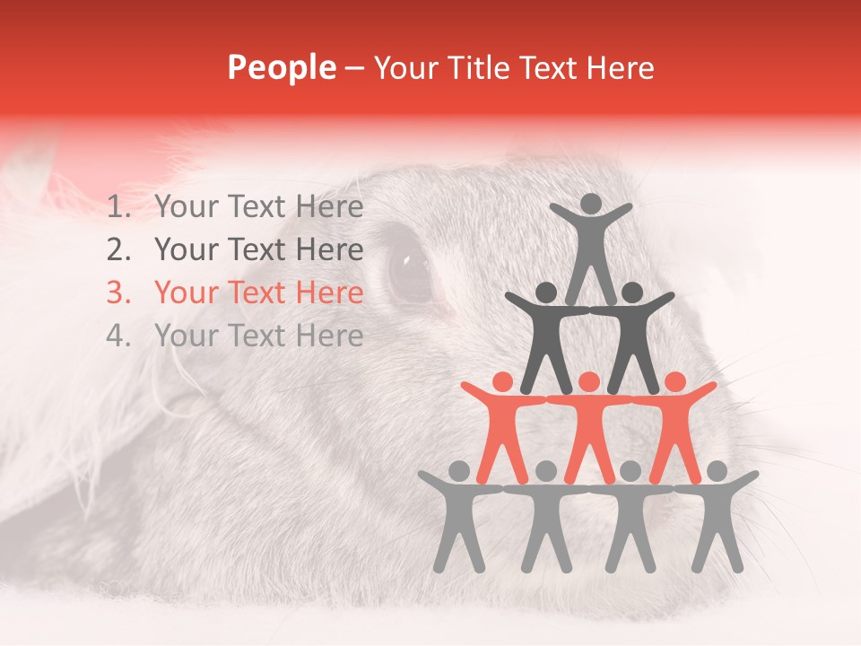Christmas Bunny PowerPoint Template