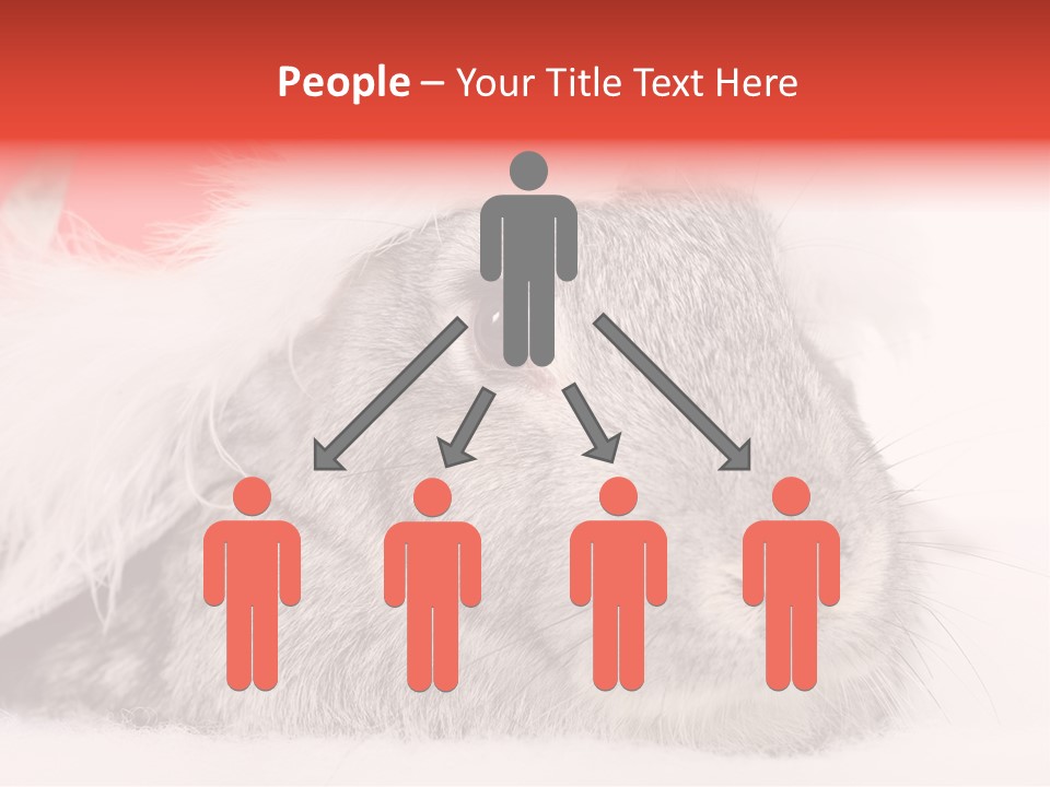 Christmas Bunny PowerPoint Template