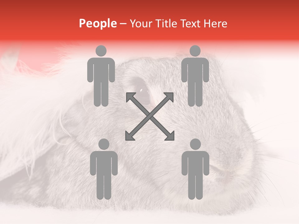 Christmas Bunny PowerPoint Template