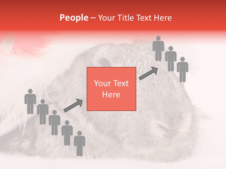 Christmas Bunny PowerPoint Template