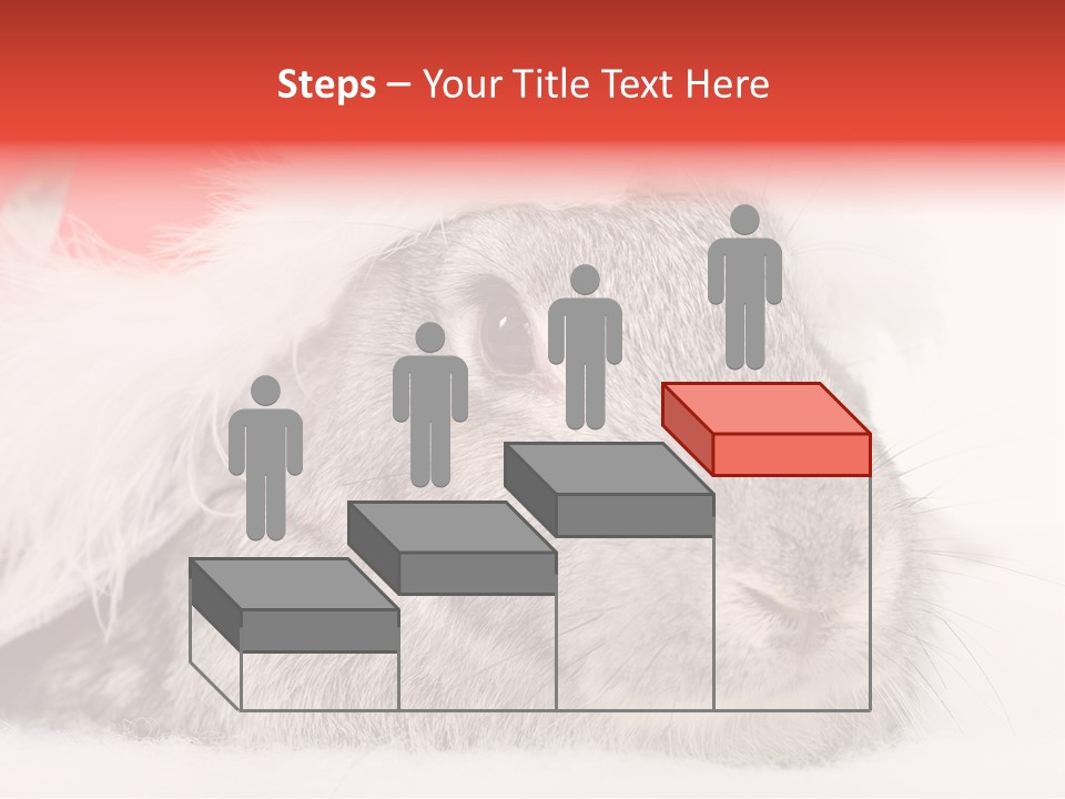 Christmas Bunny PowerPoint Template