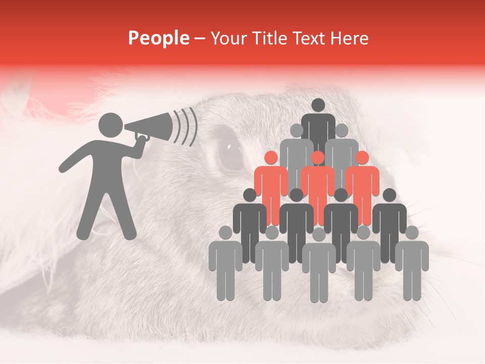 Christmas Bunny PowerPoint Template