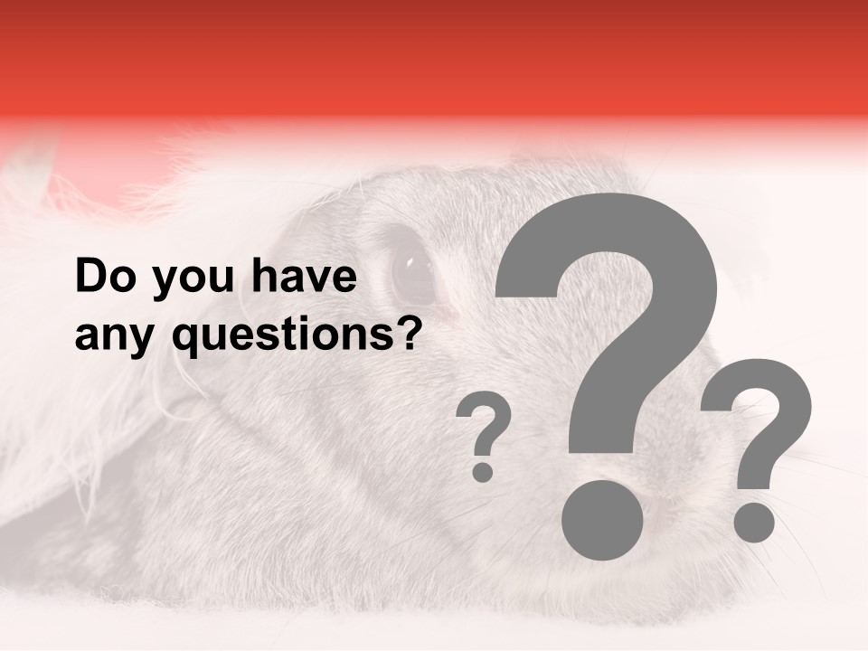 Christmas Bunny PowerPoint Template