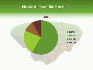 Solitary Ecological Islay PowerPoint Template