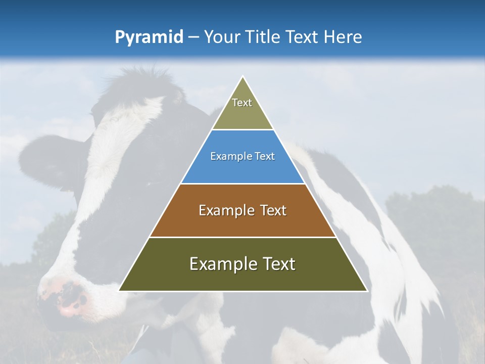 White Head Standing PowerPoint Template