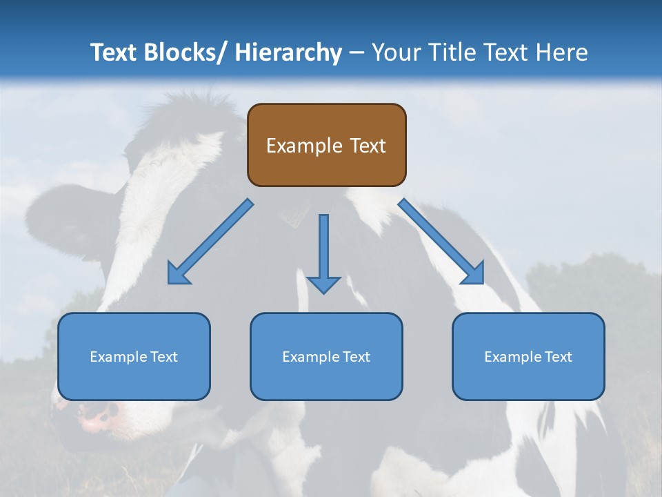 White Head Standing PowerPoint Template