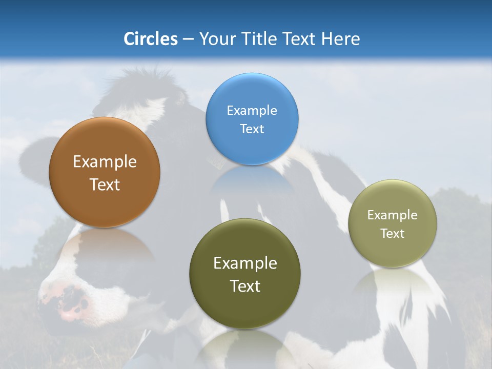 White Head Standing PowerPoint Template